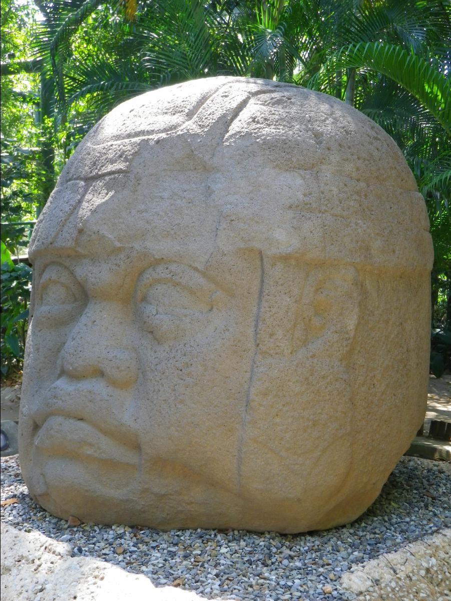 Olmeca culture museum55